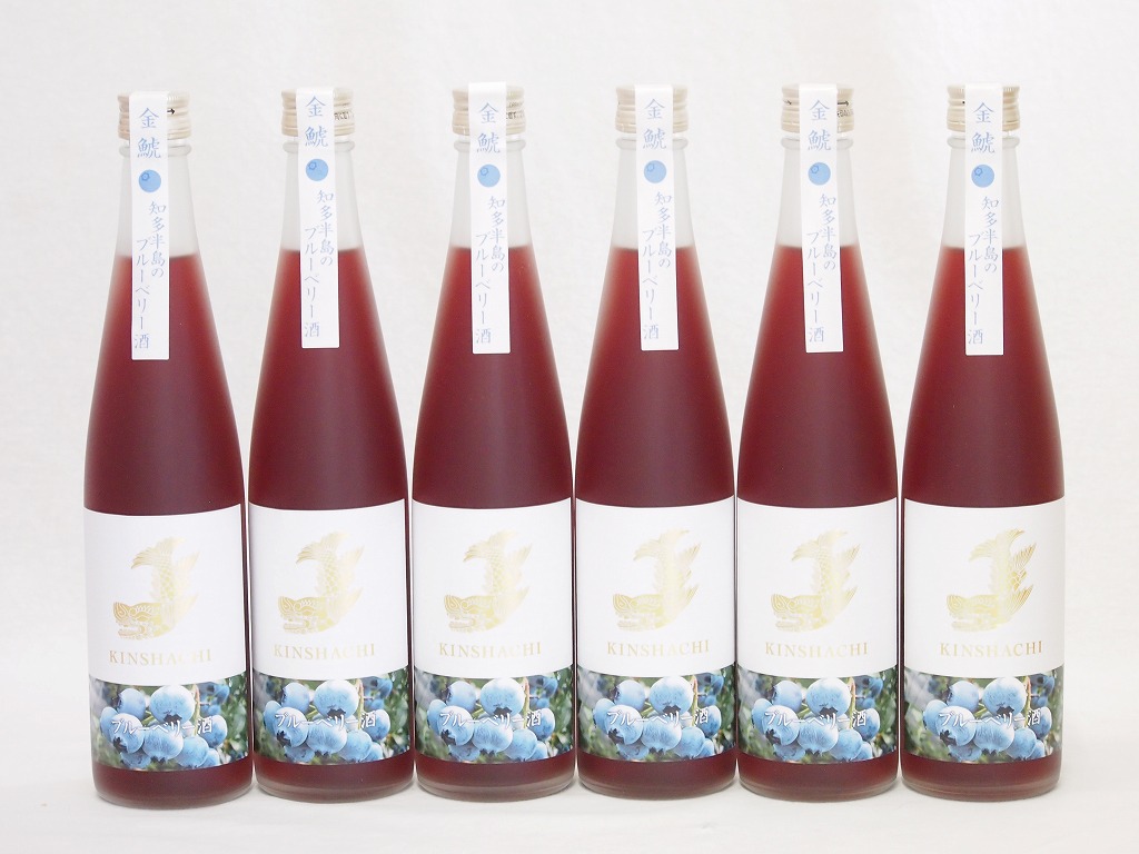 【最大2000円オフクーポン10日1:59迄】6本セット(金鯱焼酎ブレンド 知多半島のブルーベリー酒(愛知県)) 500ml×6本