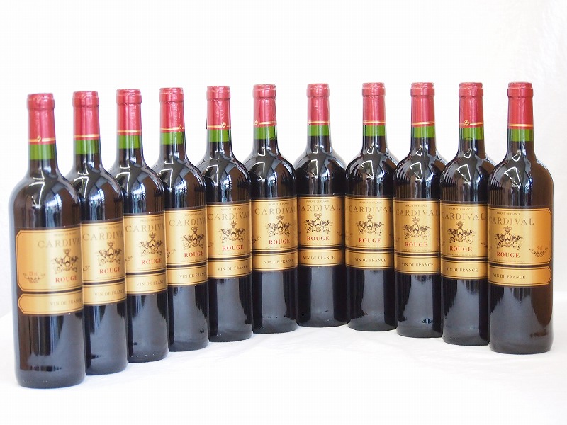 【最大2000円オフクーポン10日1:59迄】フランス赤ワイン カルディヴァル ・ルージュ 750ml×11
