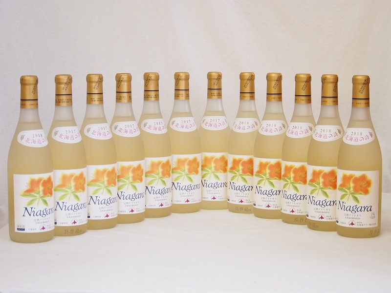 【最大2000円オフクーポン10日1:59迄】北海道産葡萄使用 完熟ナイアガラ白 甘口 720ml×12本