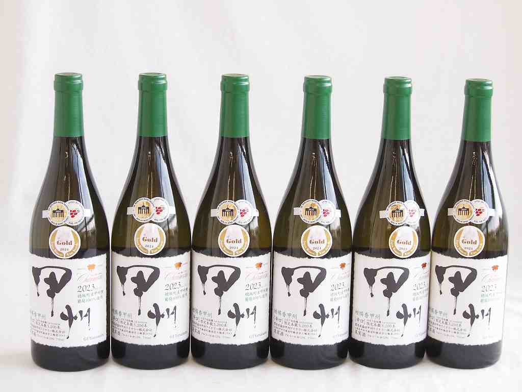 【最大2000円オフクーポン17日1:59迄】6本セット(柑橘香穂坂町産甲州種葡萄100%使用坂 白ワイン(山梨県)) 750ml×6本