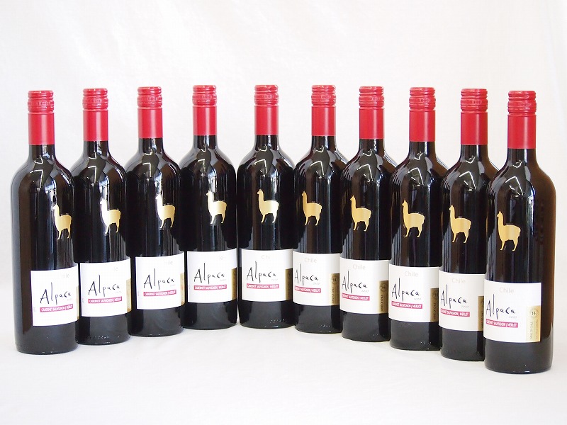 【最大2000円オフクーポン17日1:59迄】10本セット(チリ赤ワイン アルパカカベルネ・メルロー) 750ml×10本