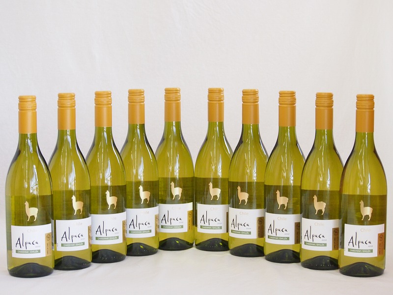 10本セット(チリ白ワイン アルパカシャルドネ・セミヨン(チリ)) 750ml×10本