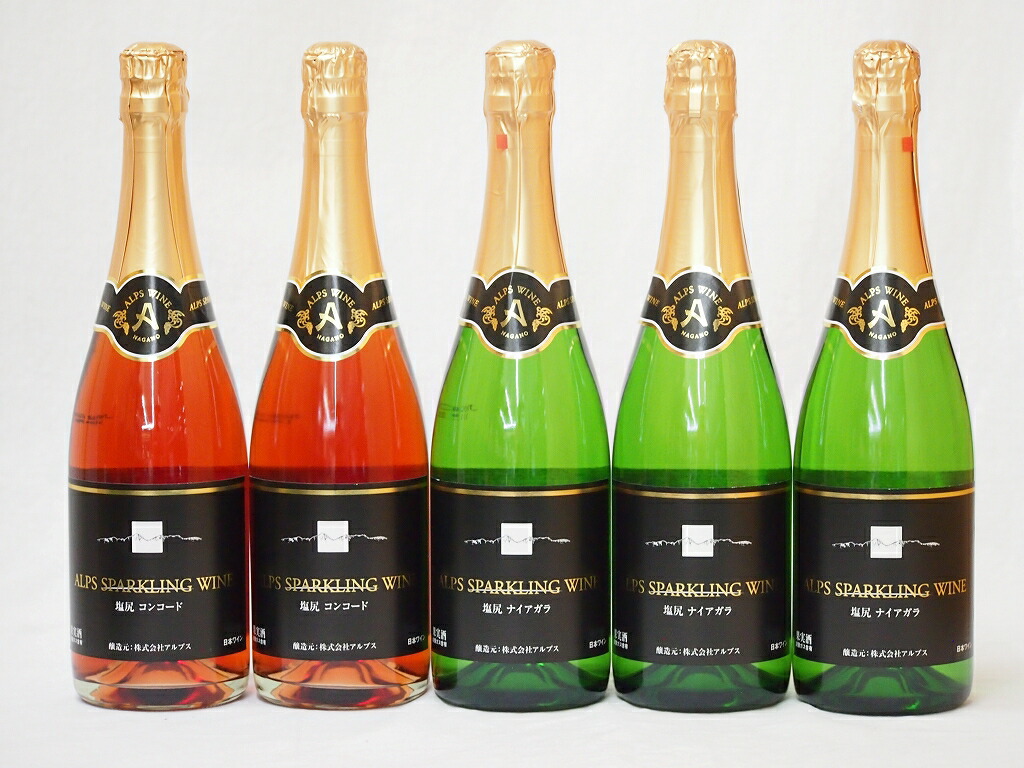 国産葡萄100%信州産スパークリング甘口ワインセット コンコードロゼ2本 ナイアガラ白3本 長野県 計5本 新作揃え