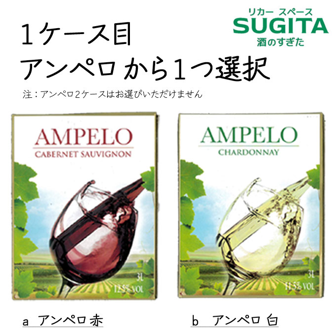 無料発送 選べる ２ケース ３Ｌ ボックス ワイン セットＢ ３リットル サンタレジーナ アンペロ fucoa.cl