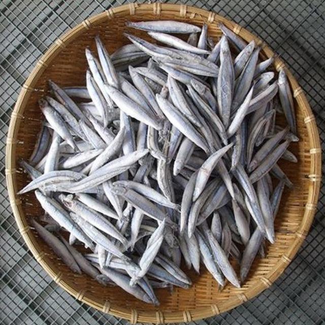 きびなご 冷凍 -25℃ 約2kg　　甑島産産地直送ｆ　送料無料　代引不可　同梱不可※北海道・東北地区は、別途送料1000円が発生します。 送料無料　代引不可　同梱不可※北海道・東北地区は、別途送料1000円が発生します。