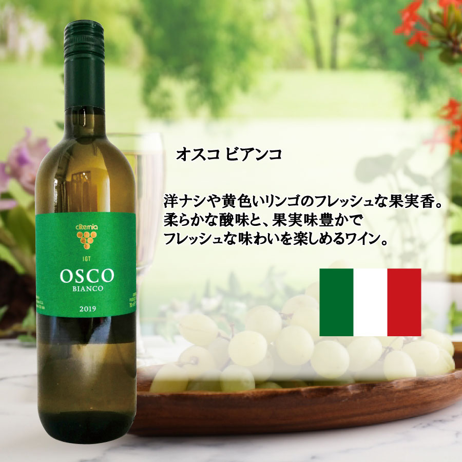 オーガニックワイン ブレーブ イタリアン グローワーズ オーガニック ホワイト 750ml 2本セット 白ワイン イタリア Wuk6efcwaw Godawaripowerispat Com