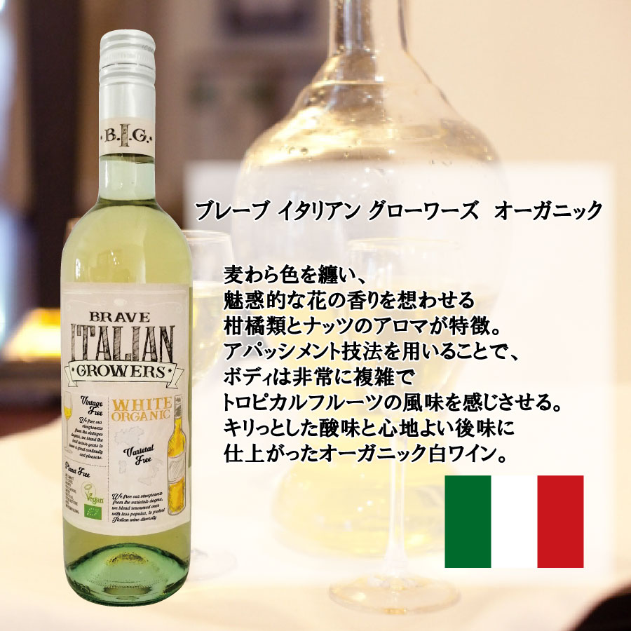 市場 フランス 旨安セット 送料無料 スペイン ６本 ワイン飲み比べ イタリア 厳選ワイン 白のみ サンタトリニータ 白ワインセット オーガニックワイン