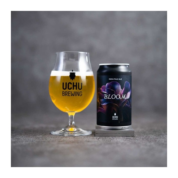 うちゅうブルーイング 宇宙ビール 8種飲み比べセット クラフトビール／うちゅうブルーイング 宇宙ビール GREEN NEBURA