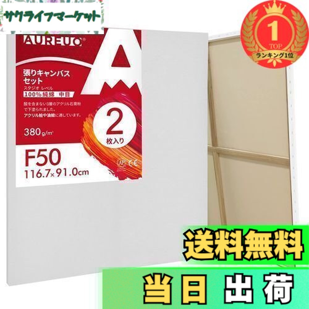 【貨物輸送無料】【度合い1位勝ちえる】AUREUO 張り帆布 書き割り F50 (116.7cmX91糎) 中目 100％綿織物 2枚 未経験者 絵図物の具 美術絵仕立て上げる 今日このごろ油彩 芸術かざり付ける 水彩画画・油彩画・アクリル樹脂兼用