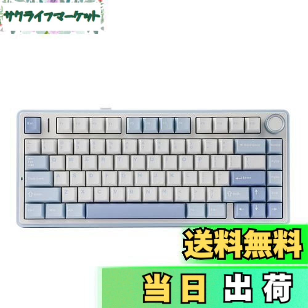 【送料無料】EPOMAKER x Aula F75 ゲーミングキーボード ガスケット メカニカルキーボード 5層パッド&ノブ付き 75% ワイヤレス ホットスワッパブル Bluetooth/2.4GHz/USB-C RGB 技適認証取得 (Sea Salt Blue, LEOBOG Reaper Switch)