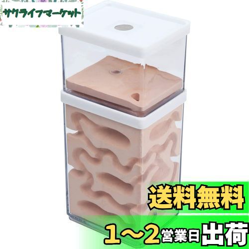 aleawol アリの巣観察キット アリ飼育箱 蟻の巣観察キット 蟻 飼育 石膏製巣箱 2層式 透明なプラスチックアリの巣 アリ飼育キット 昆虫 自由研究 生物実験 科学実験 観察日記 自然 生物 教育玩具用 (蟻なし)
