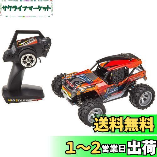 RC1/16スケール マッドスタイルシリーズ リザード