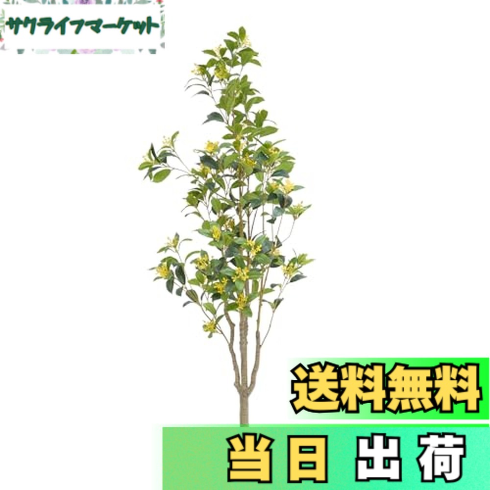 【送料無料】ybaymy 人工観葉植物