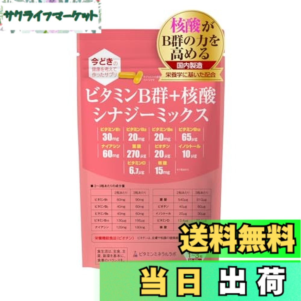 【送料無料】ビタミンB群+核酸 シナジーミックス