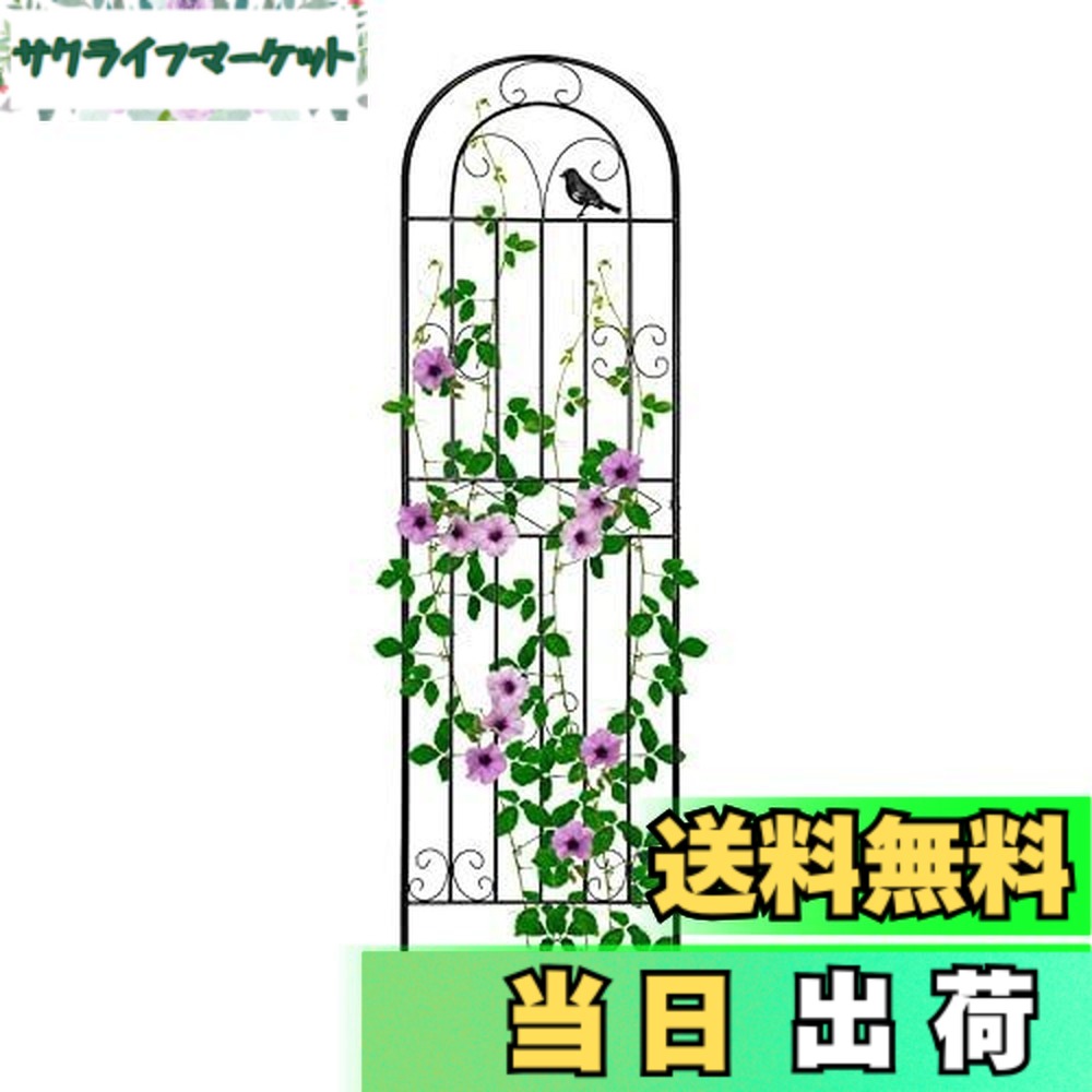 【送料無料】Rxakudedo 薔薇フェンス アイアンフェンス 園芸 フェンス アイアン 高さ180cm ローズフェンス 蔓性植物用支柱 フェンス