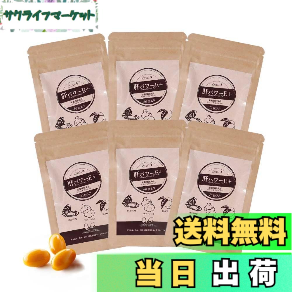 【貨物輸送無料】【まとめてお得！】中心柱漢方 肝力強さE+（30粒x6袋）