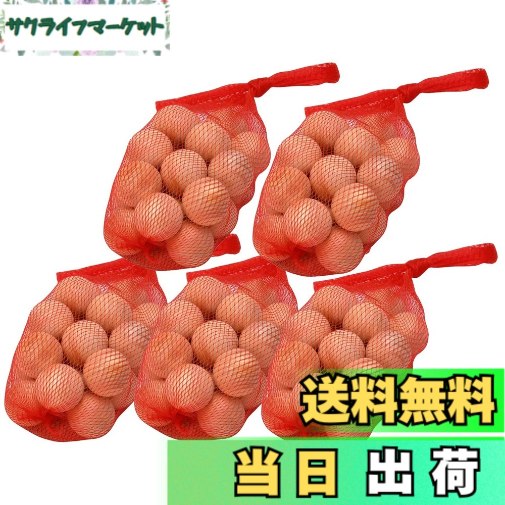 【貨物輸送無料】酒井実業 ひのき湯玉 約径3珊 お風呂の中でも森林浴 林浴成り行き 剪断応力取り止める リフレッシュ 二階建てバス装置 二階建てバスグッズ 湯玉 ツボ押し 日本製 大きさ：100個