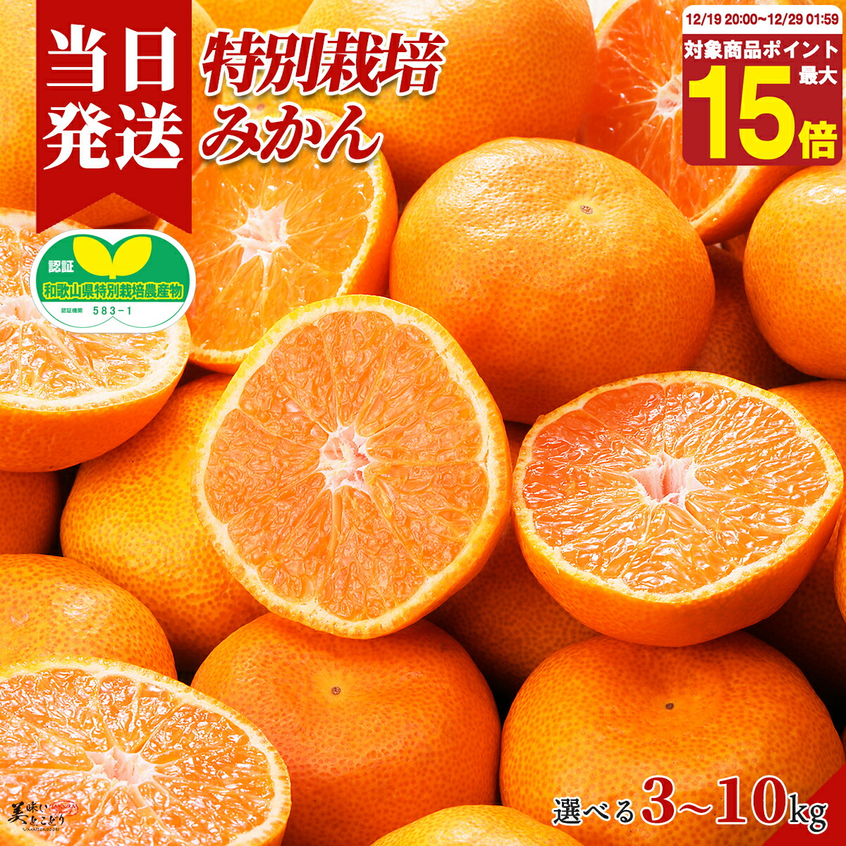 楽天市場】ギフト 送料無料 【坂下農園】大坊みかん[温州みかん]（約