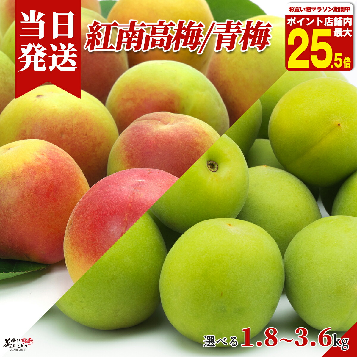 【楽天お買い物マラソン】最大ポイント25.5倍！[送料無料][最強配送][あす楽] 美味いとこどり 青梅 南高梅 選べる内容量 和歌山県産 サイズ 2L~4L 冷蔵便 ※野菜ソムリエ監修 ※
