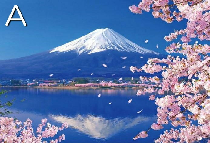 【楽天市場】ダイヤモンドアート ダイヤモンドペインティング 富士山 桜 日本 城 京都 青空 逆さ富士 美しい風景 春 明星桜 初心者