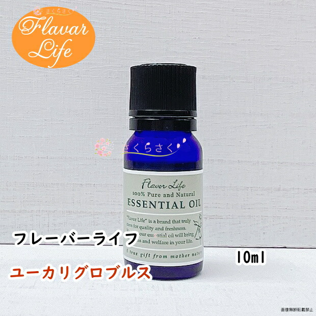 SALE／104%OFF】 ユーカリ グロブルス 精油 10ml エッセンシャルオイル アロマオイル