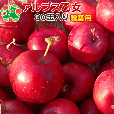 楽天市場】【数量限定】送料無料 【青森県産りんご】アルプス乙女 バラ