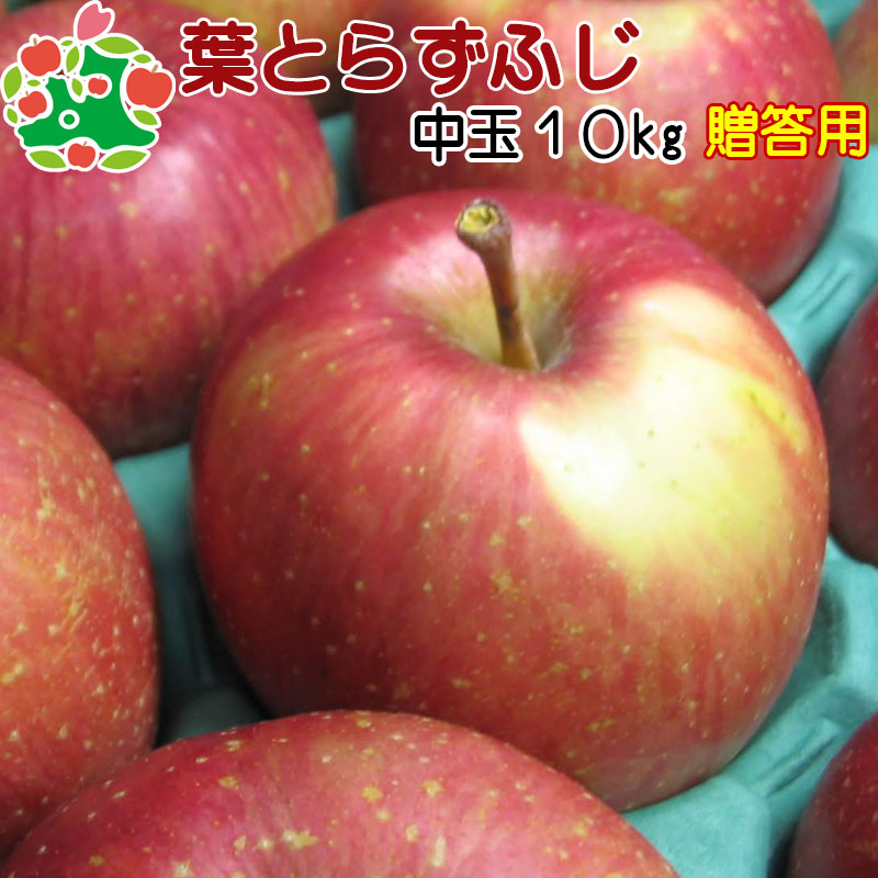【CA貯蔵】 葉とらずふじ 特選中玉 青森県産 りんご 10kg 内祝い プレゼント ギフト お返し 贈答品