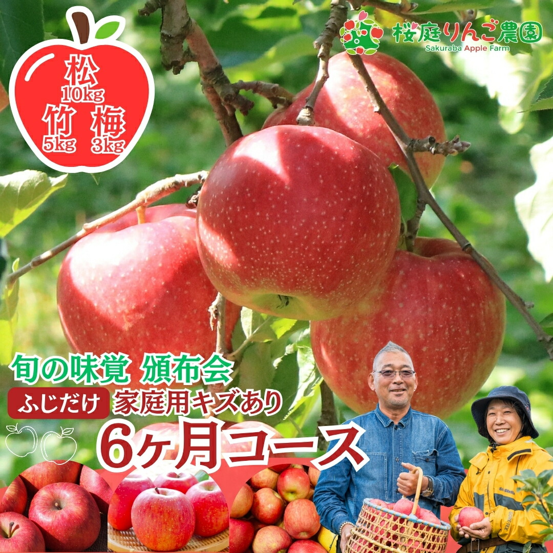 【頒布会 ふじだけ 家庭用 6ヶ月】りんご 家庭用 青森 毎月お届け 桜庭りんご農園頒布会 ご要望にお応えして！家庭用キズあり「ふじ」だけ6か月コース！【10kg】【5kg】【3kg】 旬の味覚 沖縄以外送料無料 早生ふじ 葉とらずふじ CA葉とらずふじ 家庭用 訳あり｜桜庭りんご農園＜店＞