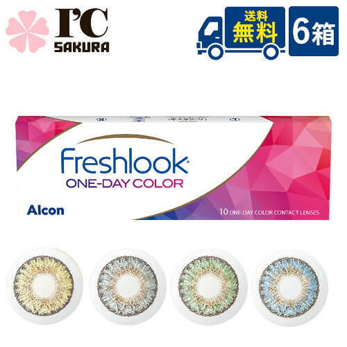 【製造業者直送】 フレッシュルックワンデーカラー6箱 1日使い捨て色つやコンタクトレンズ カラコン 色つや