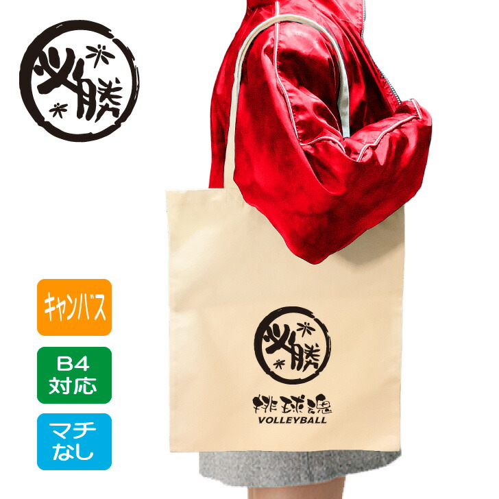 明治大学 バッグ バレーボール