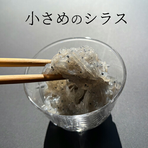 生しらす（小さめ）500g、1kg、1.6kg｜送料無料｜在庫限り販売！静岡県産