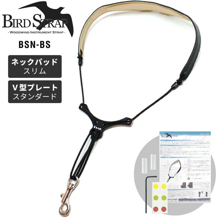 bsn-bs-main.jpg