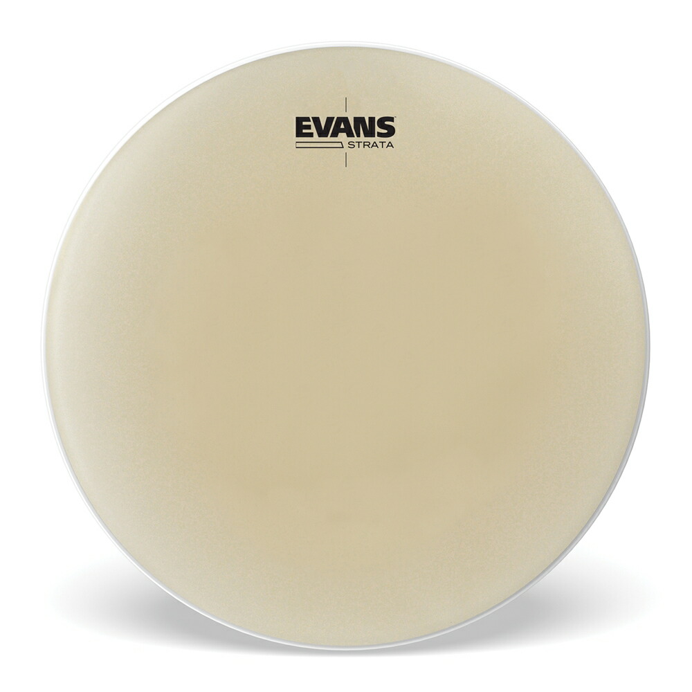 8729円 【信頼】 EVANS エヴァンス Strata ティンパニヘッド 23