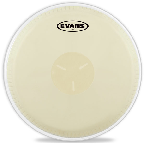 楽天市場】【ポイント５倍！9/12 9:59迄】EVANS エヴァンス ドラムヘッド マーチングスネア System Blue Snare  SB14MSB 14インチ : サクラ楽器