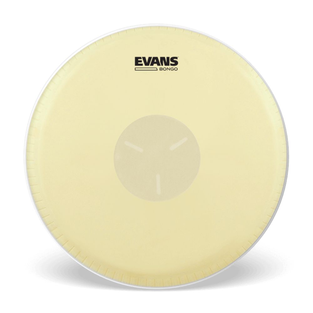 EVANS ボンゴ ヘッド EB09/8 5/8\
