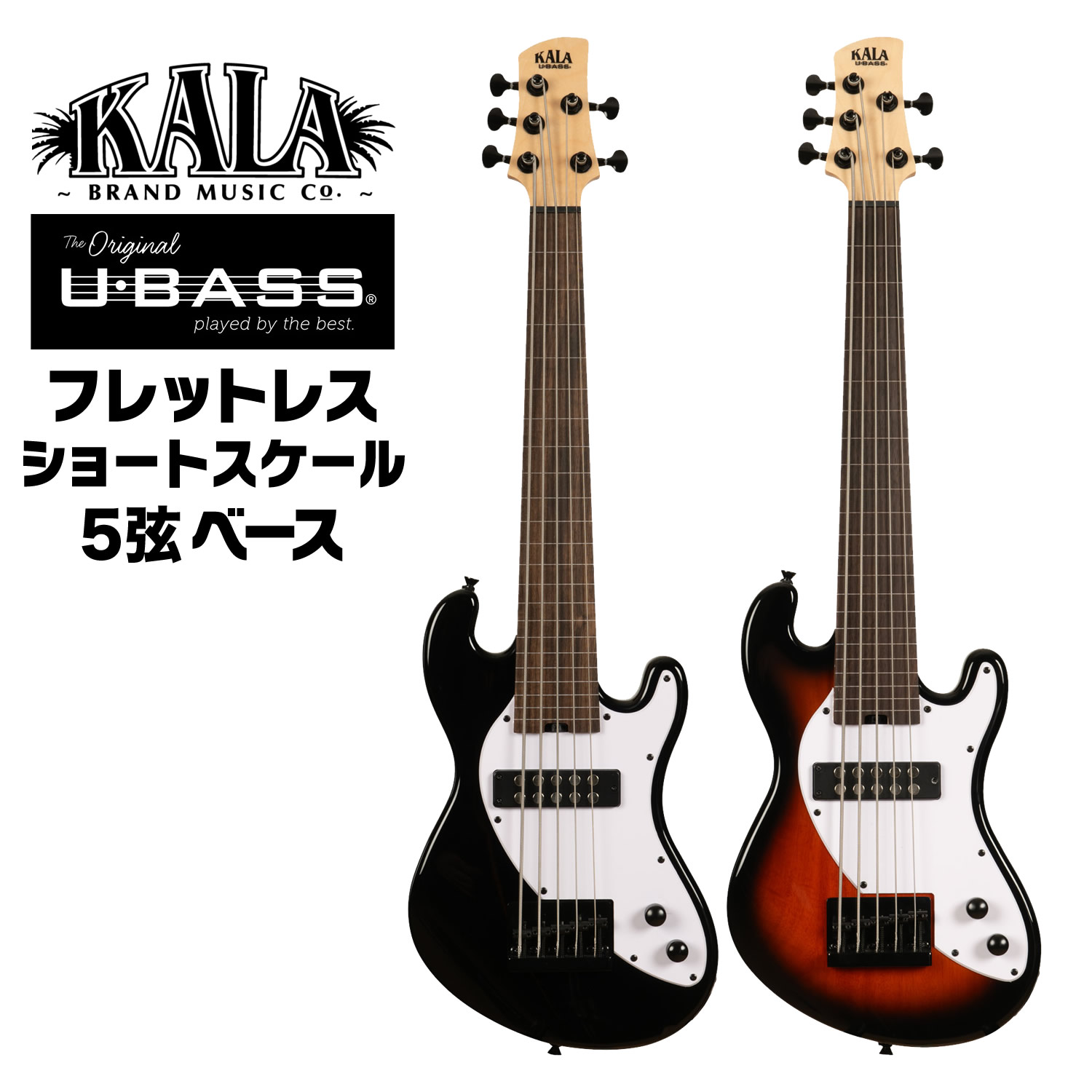 KALA UBASS-SB5-TB-FL ウクレレベース【未使用品】 楽天市場】KALA 5弦 ショートスケール ベース U・BASS UBASS-SB5