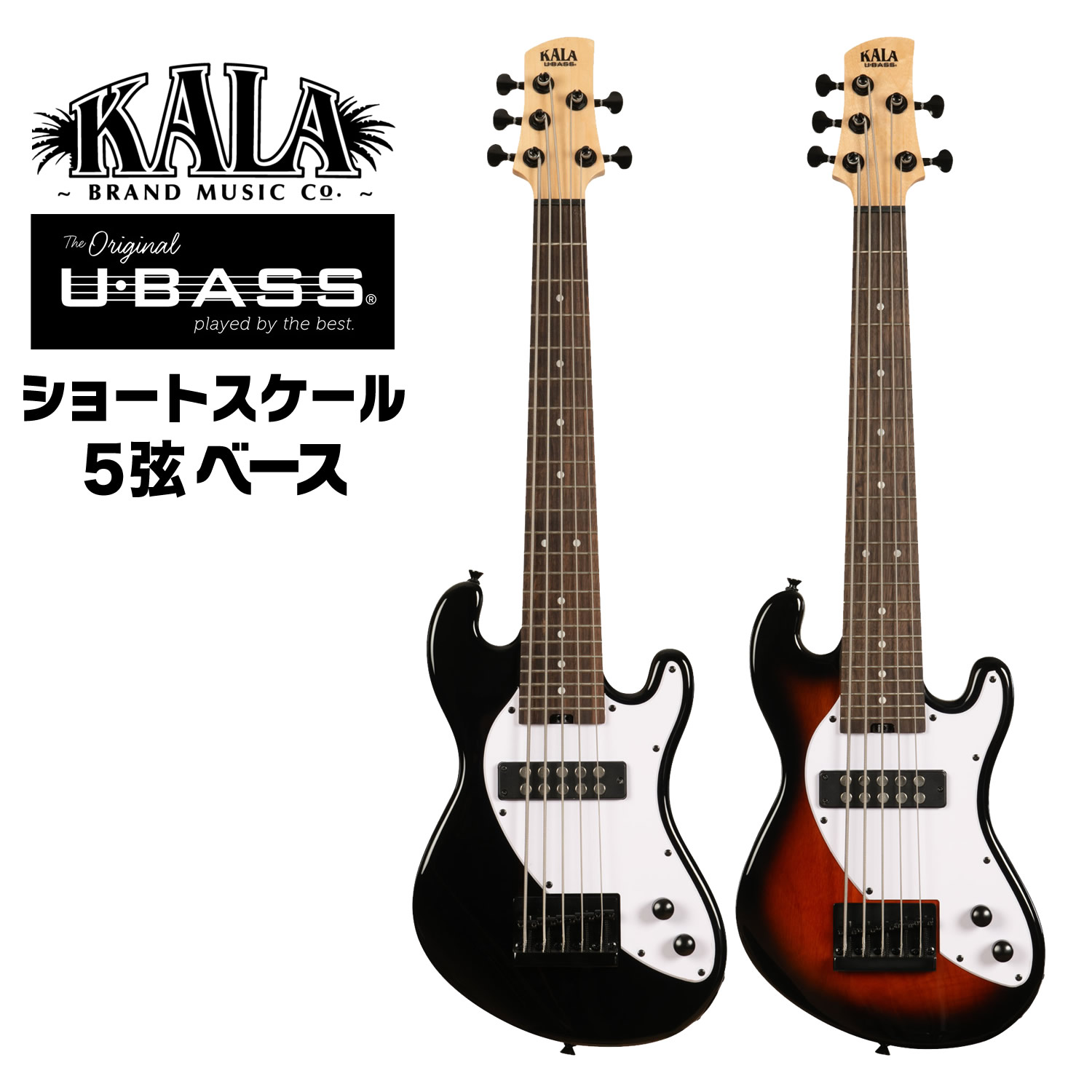 楽天市場】KALA 5弦 ショートスケール フレットレス ベース U
