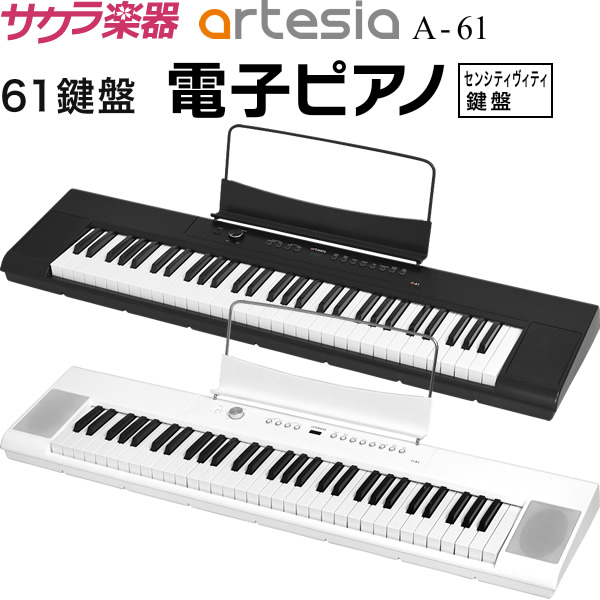 楽天市場】【5と0のつく日はエントリーでポイント5倍】CASIO カシオ 61