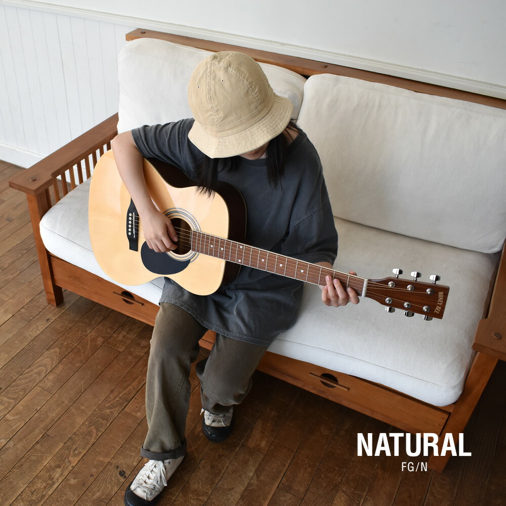 アコースティックギター 16点 初心者セット HONEY BEE W-15/F-15