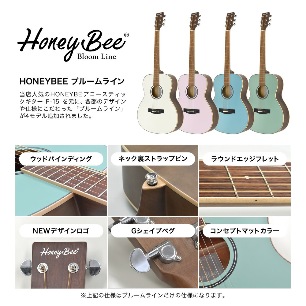 アコースティックギター 16点 初心者セット HONEY BEE W-15/F-15