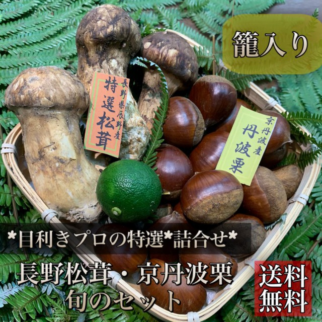 楽天市場】2025年新物**【天然国産*秋の味覚】長野県産*特選松茸