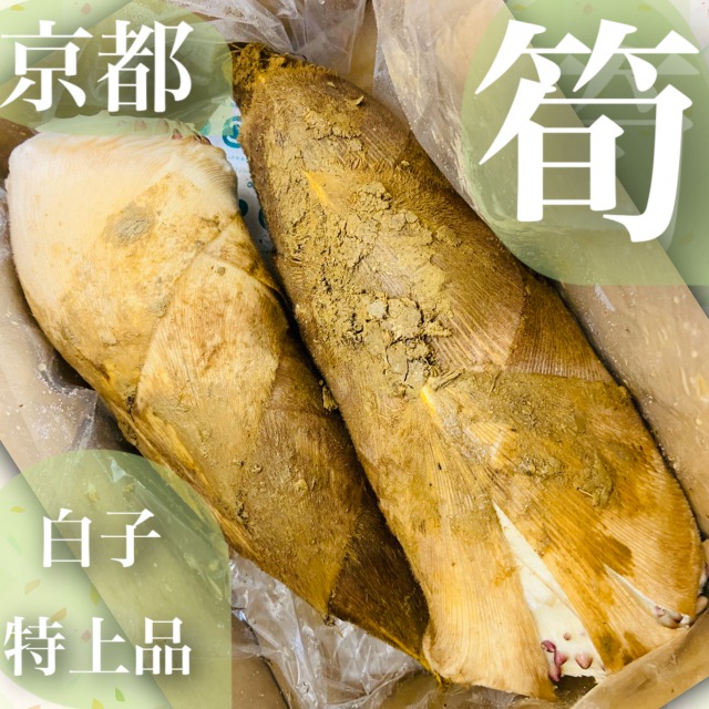 日本一***旬の特上品*【朝堀り京たけのこ】白子筍*2Lサイズ約2kg（4～5本）京都大原野産,塚原,長岡京,物集女産より厳選*木の芽,米ぬか,鷹の爪・ゆがき方とお料理レシピ付き 新鮮*生タケノコ*竹の子*ギフト*贈答*お祝い*御祝*京野菜*進物*旬食材*たけのこ