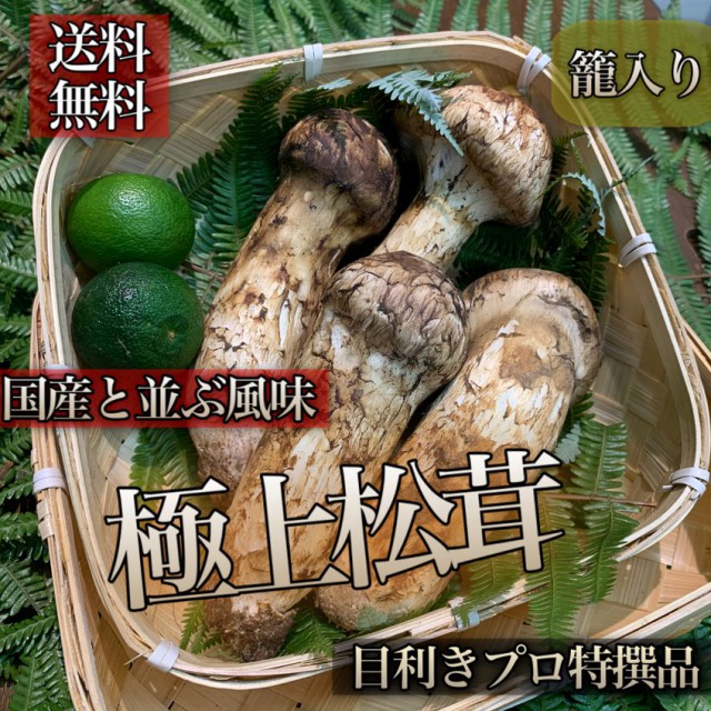 楽天市場】そろそろ最終！2025年新物**【天然国産*秋の味覚