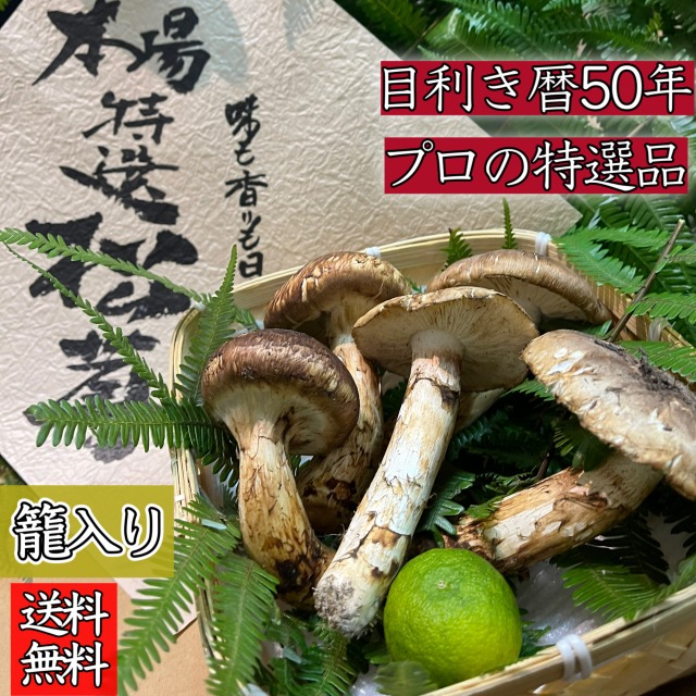 岩手県産　松茸　300g 販売終了まで残りわずか 岩手県産 訳あり 松茸300g (開き・欠け