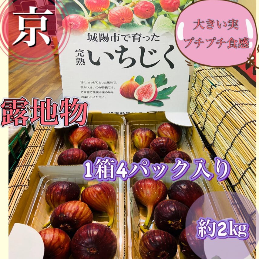 楽天市場 果物3 全国送料無料 京都府城陽産朝摘み完熟いちじく フルーツショップ千馬