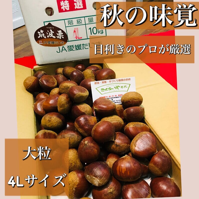 【ケンケン】茨城県産　生栗3〜4L 13kg Amazon.co.jp: 【茨城県産】大粒 栗 生栗 2L-3L 大粒 約1kg 虫