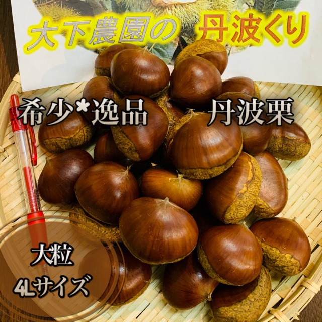 宮崎県産 栗 約10キロ 品種 筑波 b 宮崎県産 栗 約10キロ 品種 筑波 b