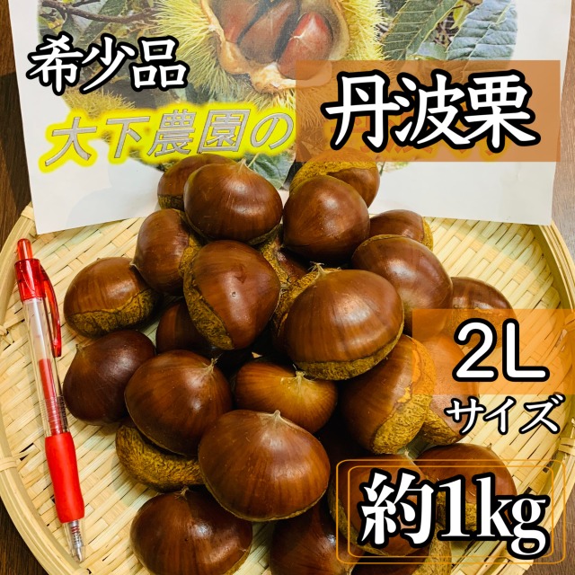 宮崎県産　栗　約10キロ 品種　筑波　b 宮崎県産 栗 約10キロ 品種 筑波 b 宮崎県産 栗 約10