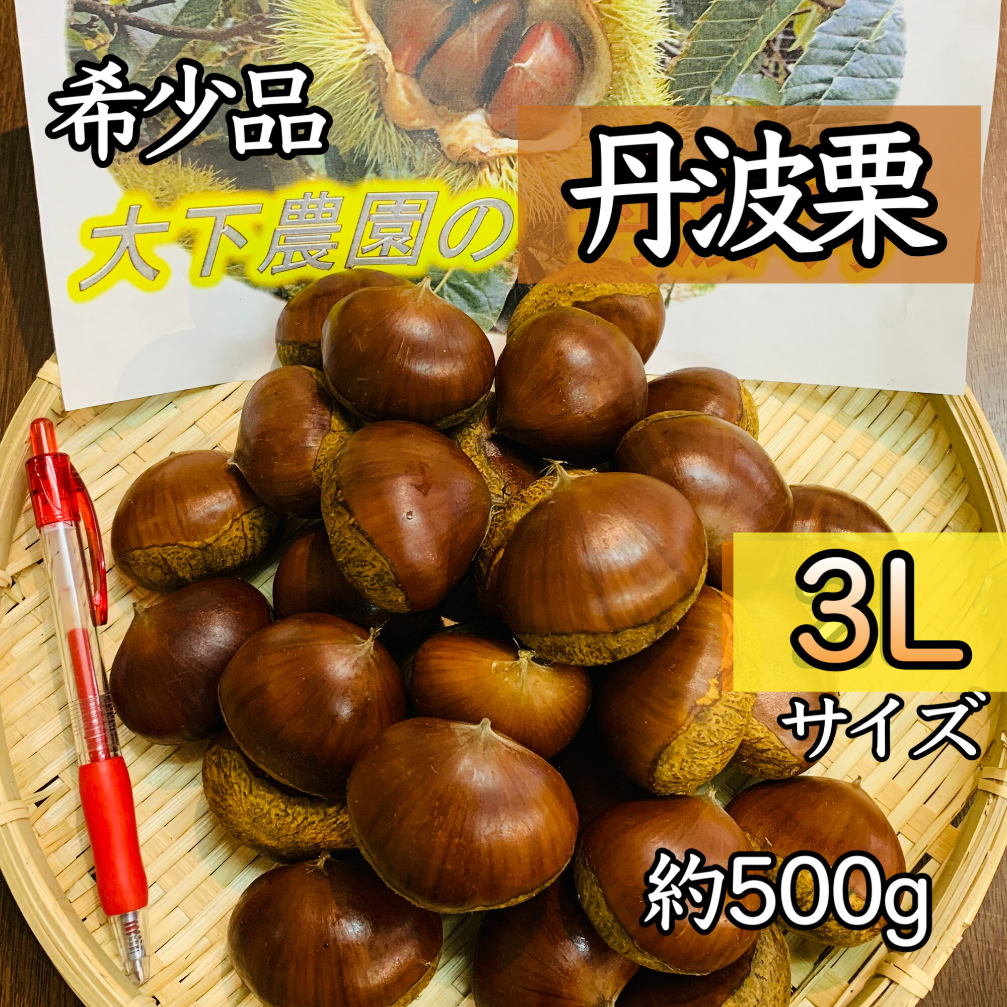 特大4Lサイズ 茨城県産　栗　生栗 楽天市場】大人気栗の入荷**【秋季限定】筑波栗つくばくり(中生