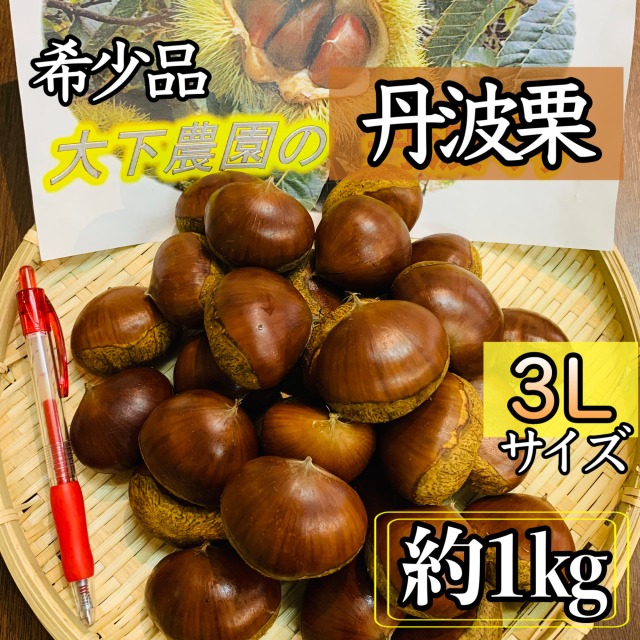 宮崎県産　栗　約10キロ 品種　筑波　b 栗 筑波の通販 おすすめ 苗木部 By 花ひろばオンライン
